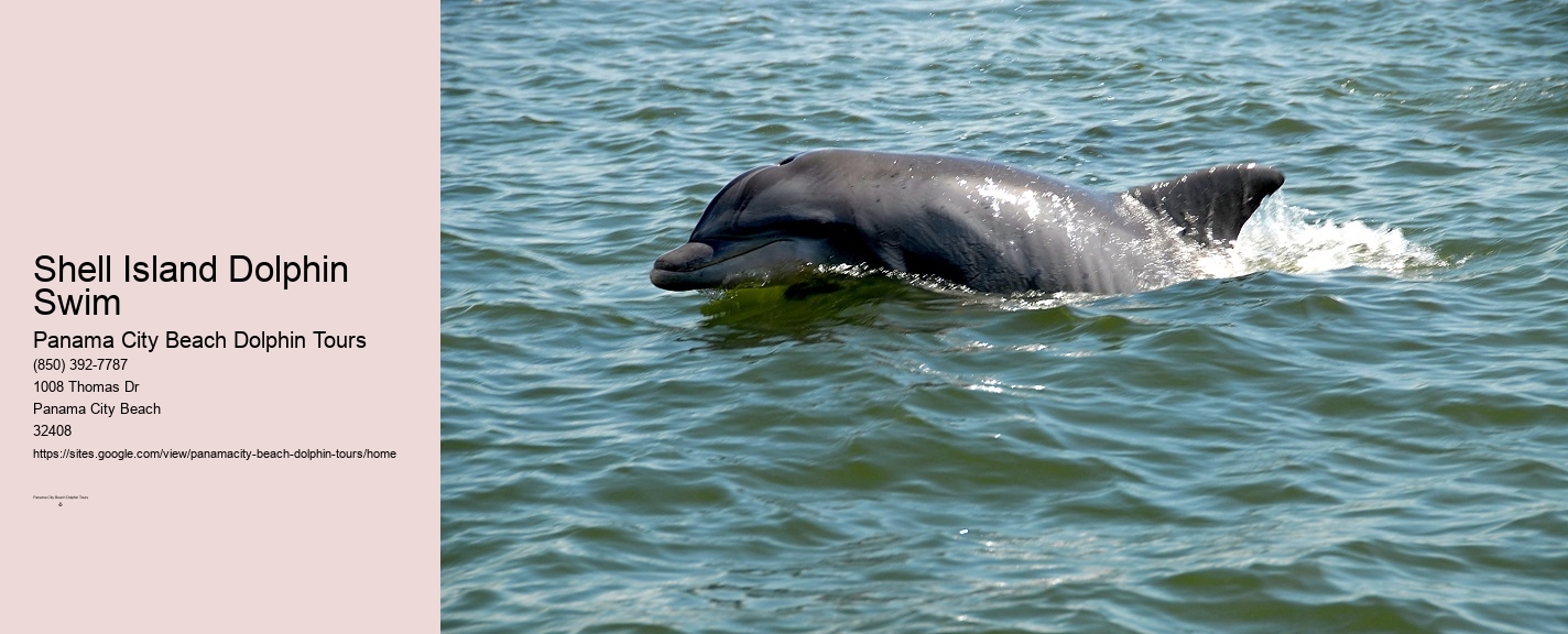 Swim With Dolphins Near Me