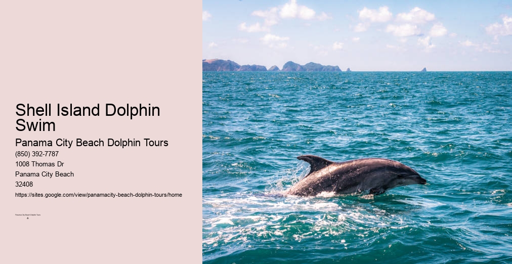 Dolphin Boat Tour Panama City Beach