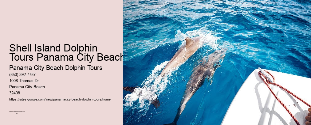 Panama City Beach Dolphin Snorkel