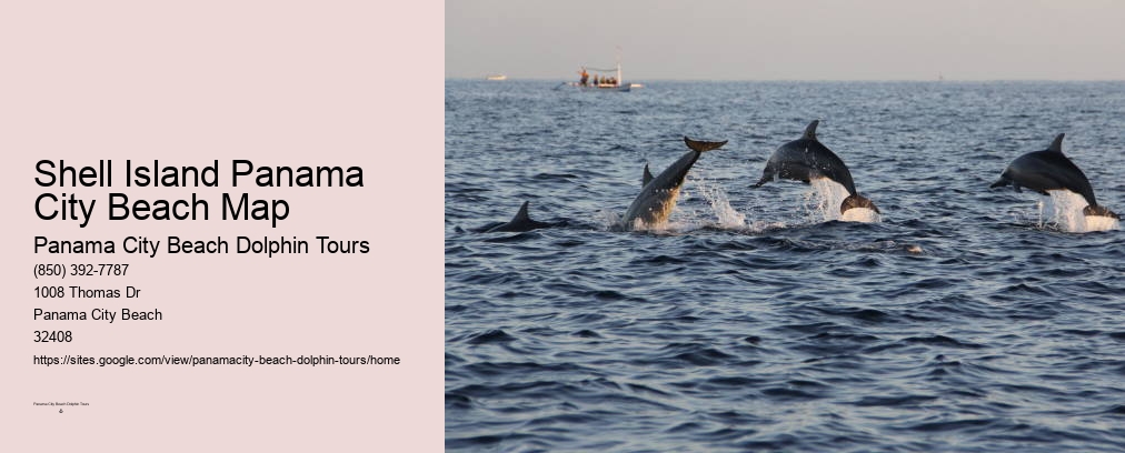 Dolphin Watching Panama City Beach