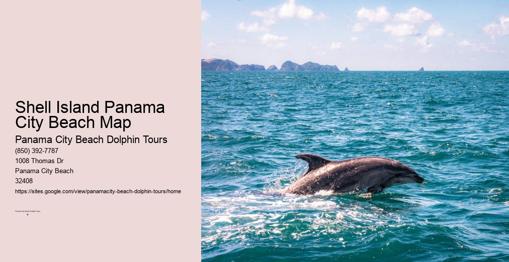 Dolphin Watching Panama City Beach Fl