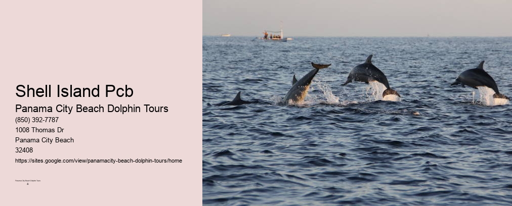 Dolphin Cruises Panama City Beach