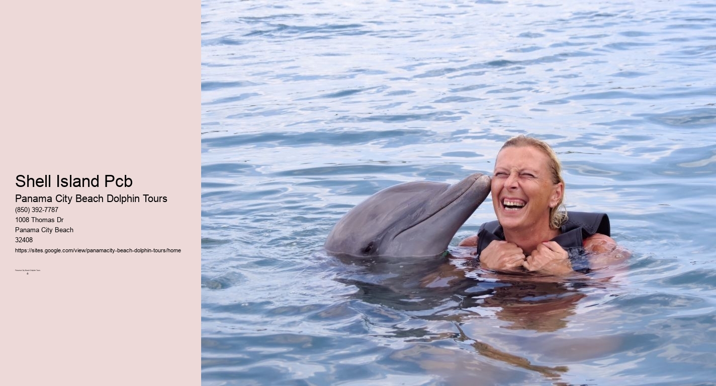 Dolphin & Snorkeling Tours Panama City Beach