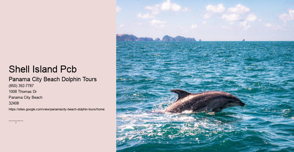 Panama City Dolphin Cruise