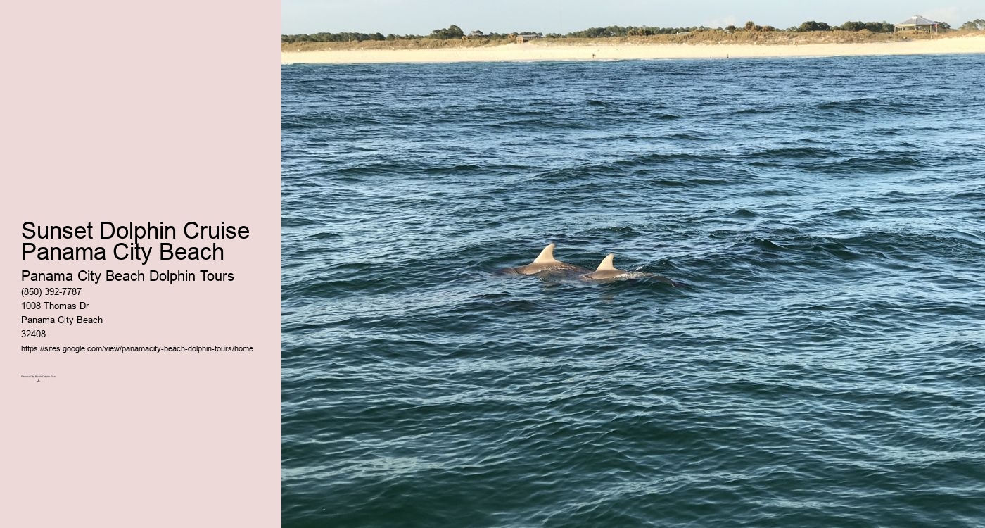 Panama City Beach Dolphin Sunset Cruise