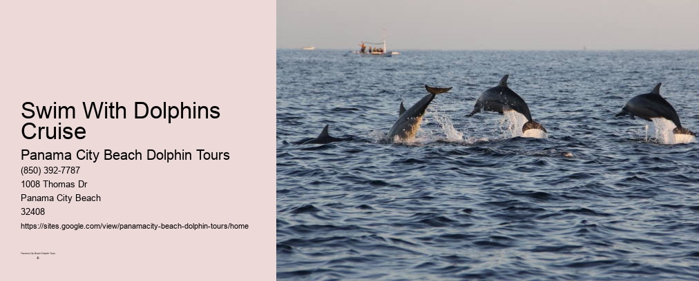 Panama City Beach Dolphin And Snorkel Tours