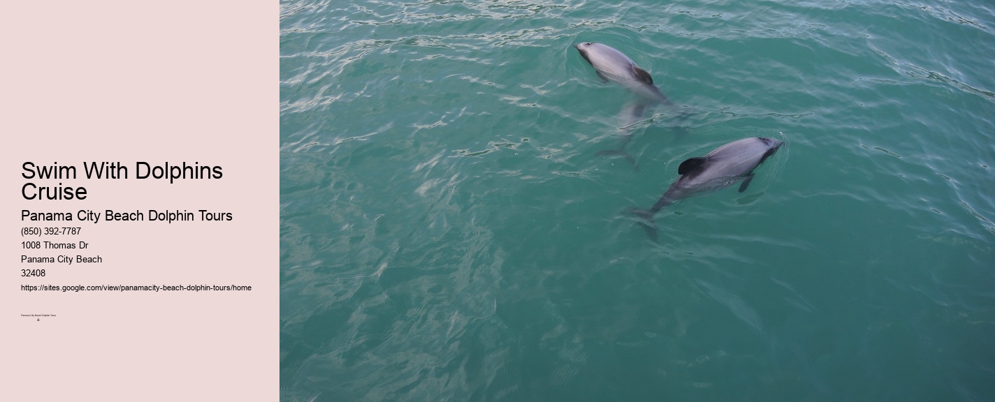 Dolphin Tours Panama City Beach Florida