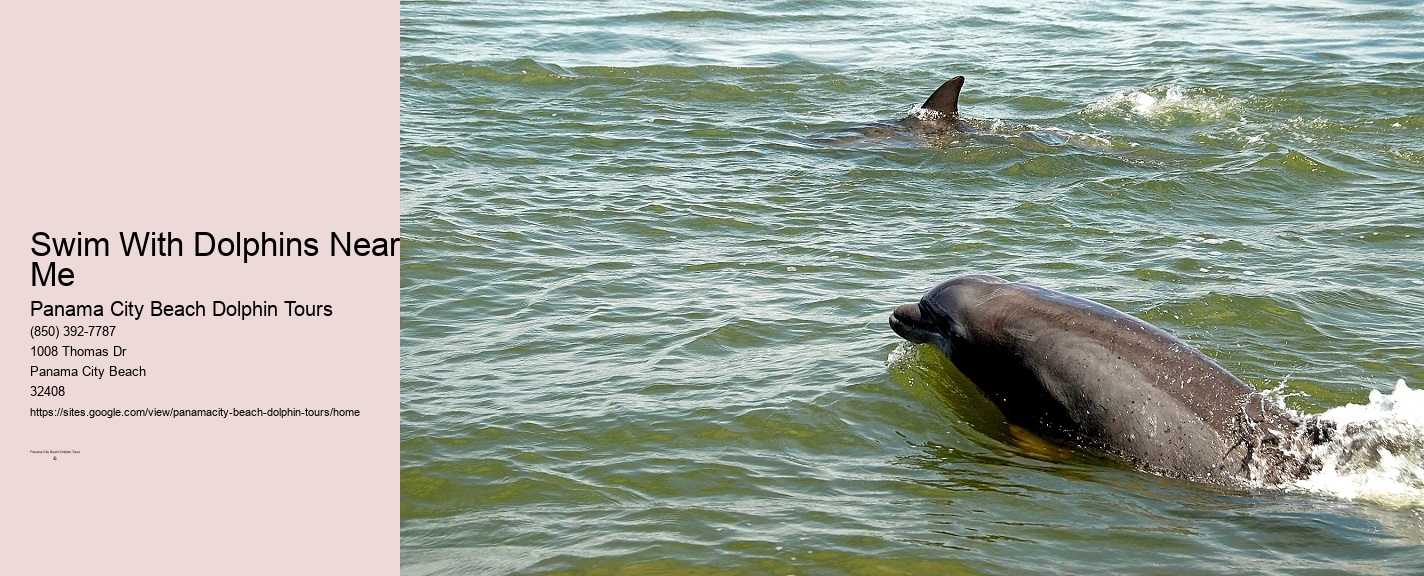 Panama City Beach Private Dolphin Tours