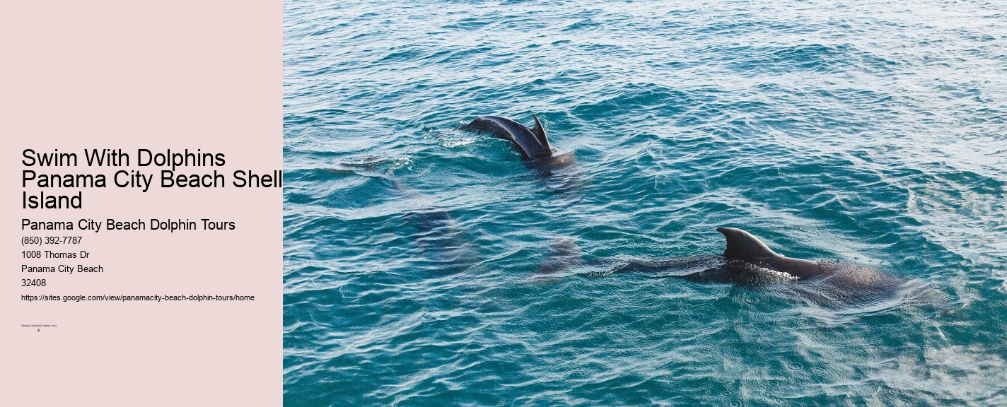 Dolphin Boat Tour Panama City Beach