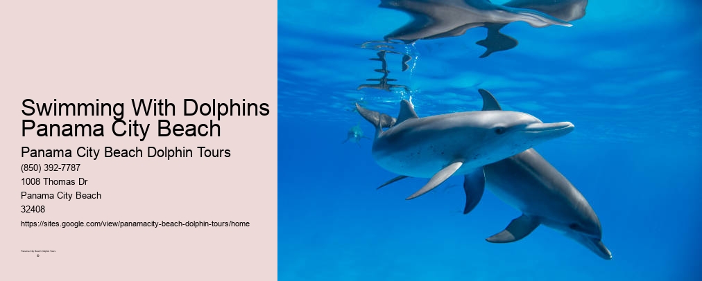 Dolphin Cruise Panama City Fl