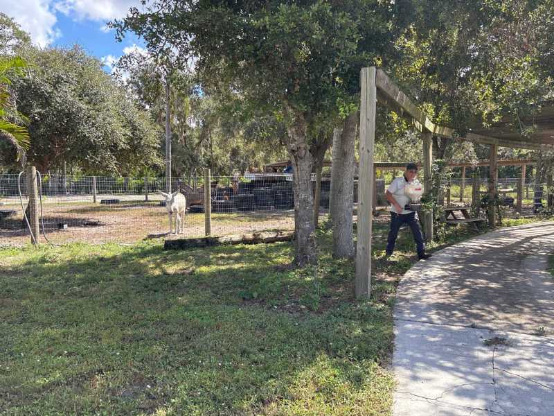 Professional termite inspection Arcadia