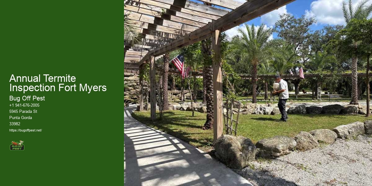 Annual Termite Inspection Fort Myers