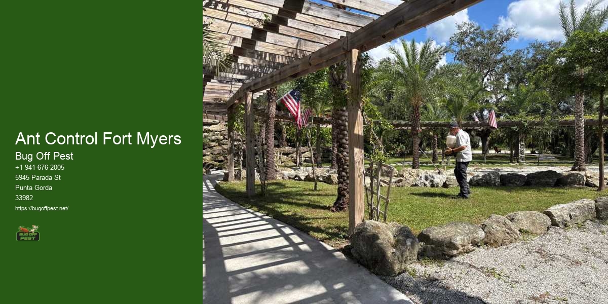 Ant Control Fort Myers