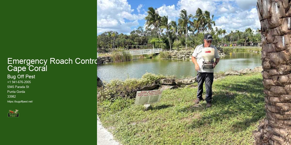 Emergency Roach Control Cape Coral
