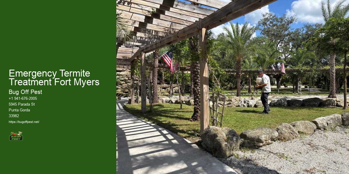 Emergency Termite Treatment Fort Myers