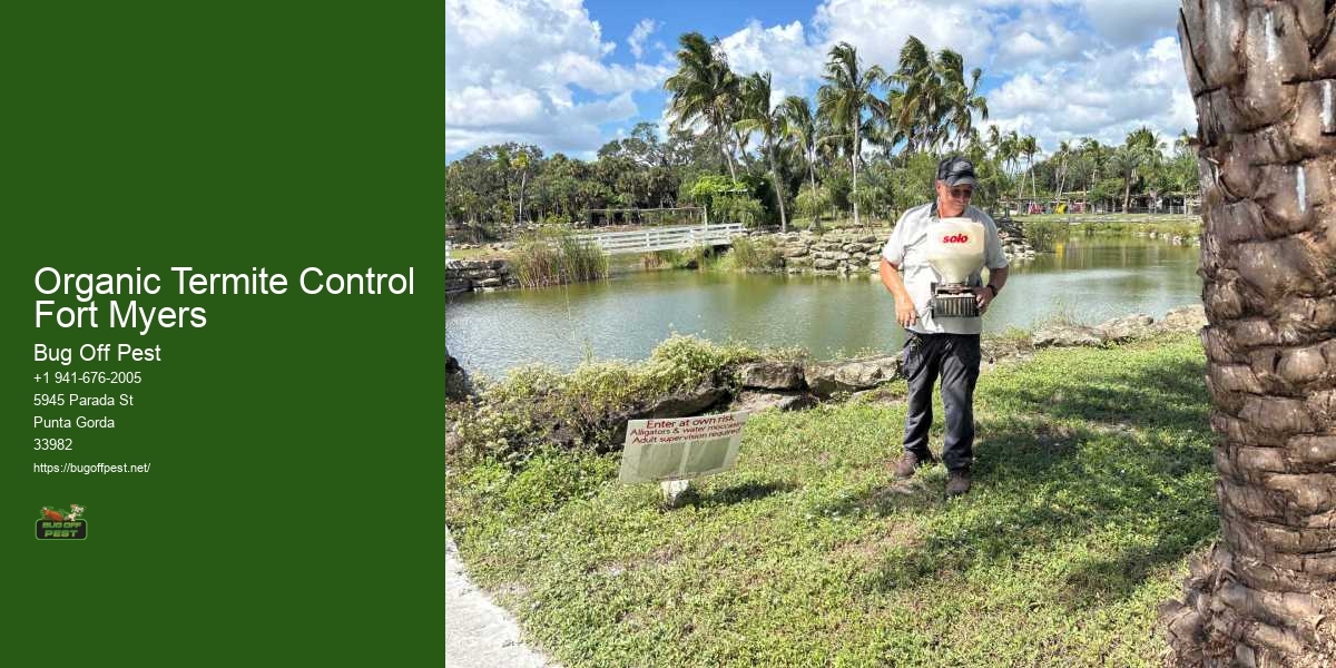 Organic Termite Control Fort Myers