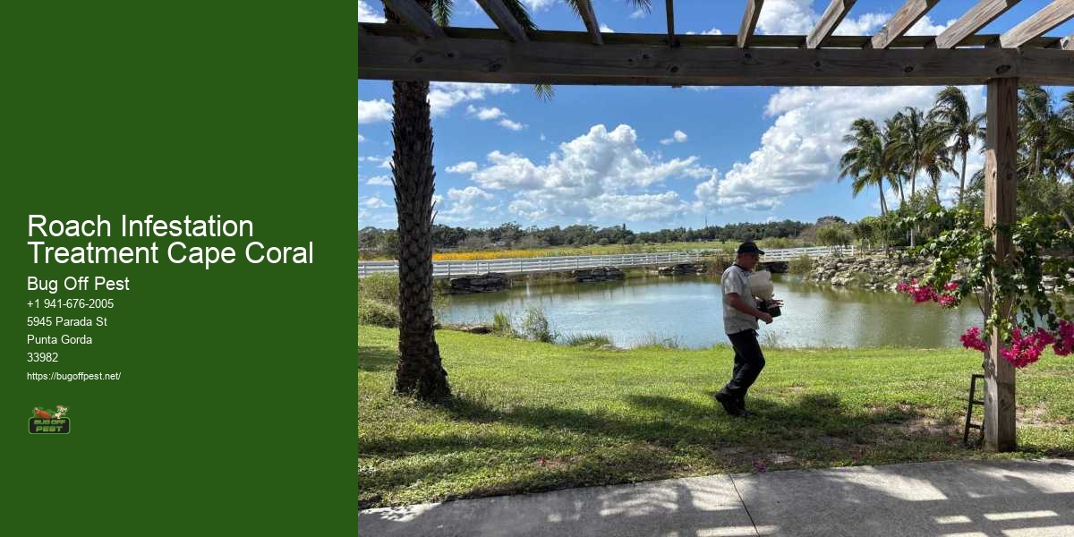 Roach Infestation Treatment Cape Coral