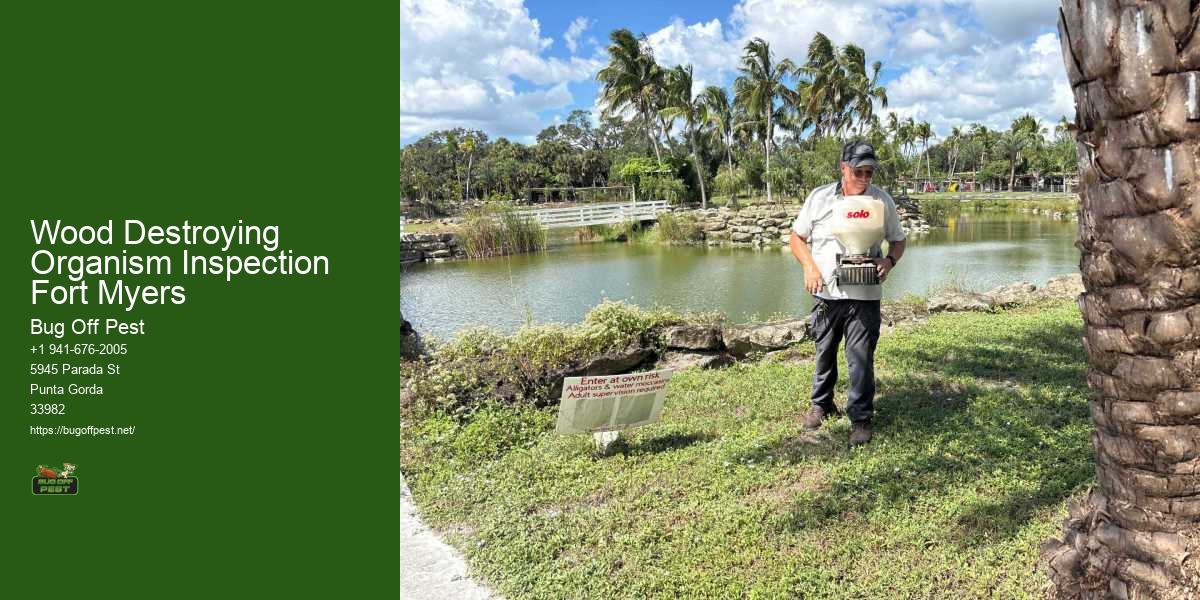 Wood Destroying Organism Inspection Fort Myers