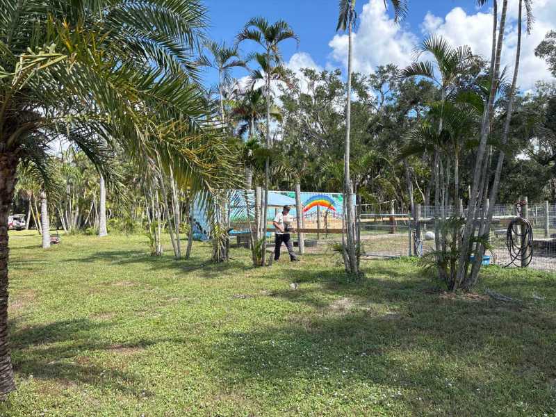 North Port Spider Control Services