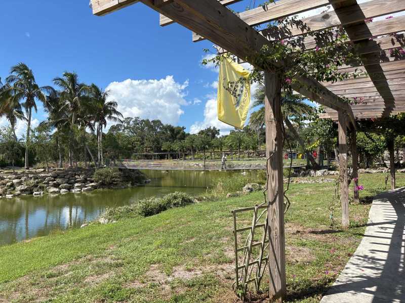 Termite Management North Port