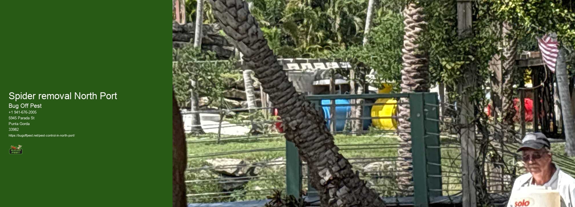 Spider removal North Port