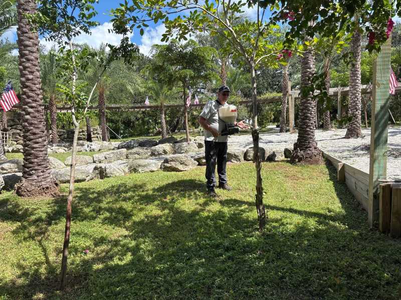 Port Charlotte termite extermination programs