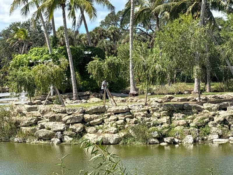 Termite soil treatments Port Charlotte