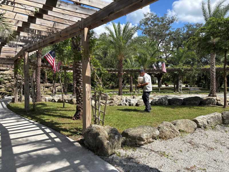 Termite colony identification Port Charlotte