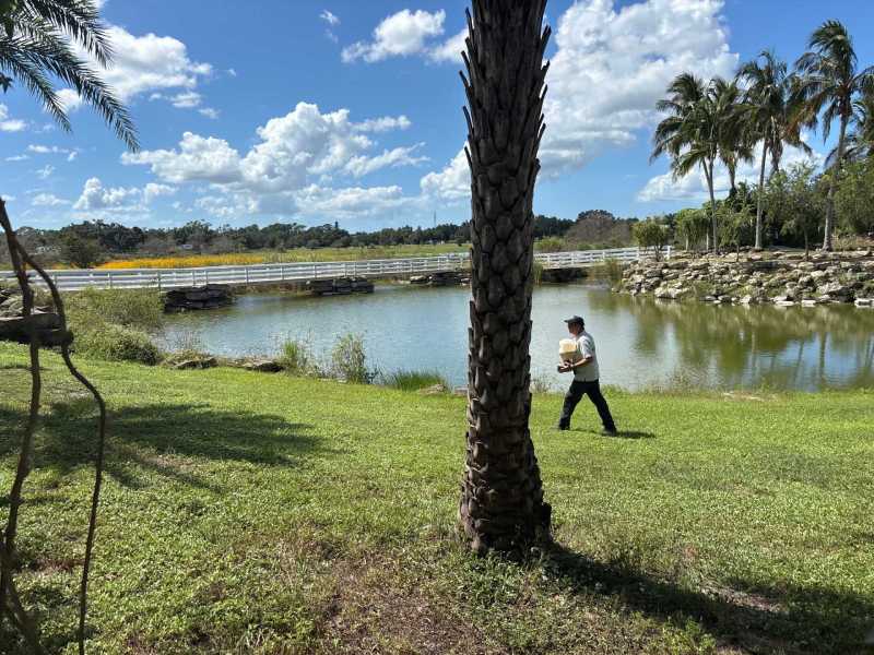 Termite detection services Port Charlotte