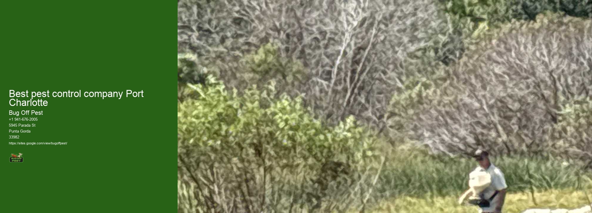 Best pest control company Port Charlotte