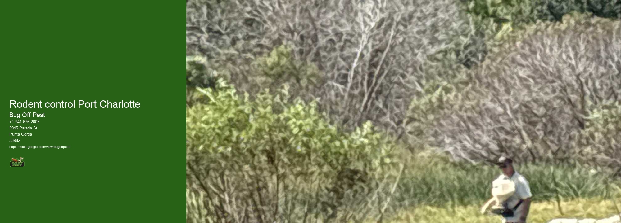 Rodent control Port Charlotte