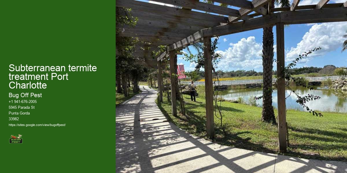 Subterranean termite treatment Port Charlotte