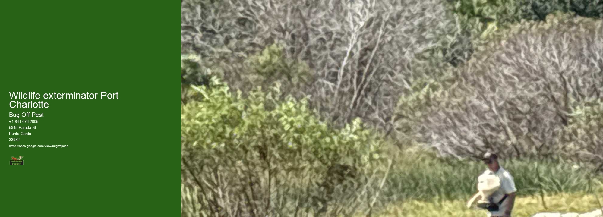 Wildlife exterminator Port Charlotte