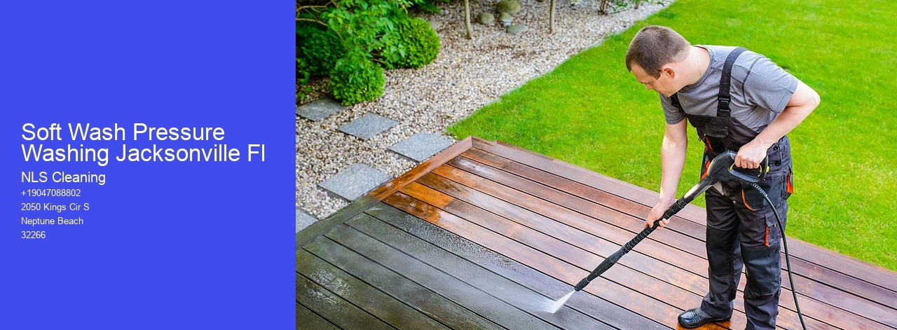 Soft Wash Pressure Washing Jacksonville Fl