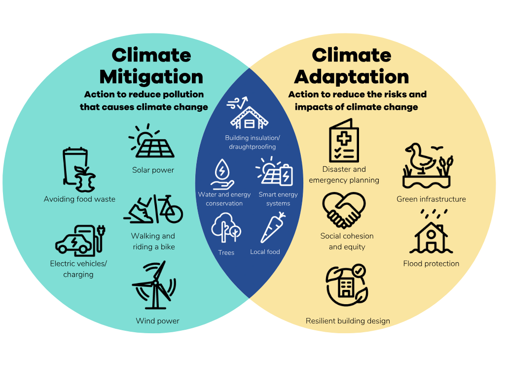 Climate action infographic showing mitigation measures and climate change adaptation strategies