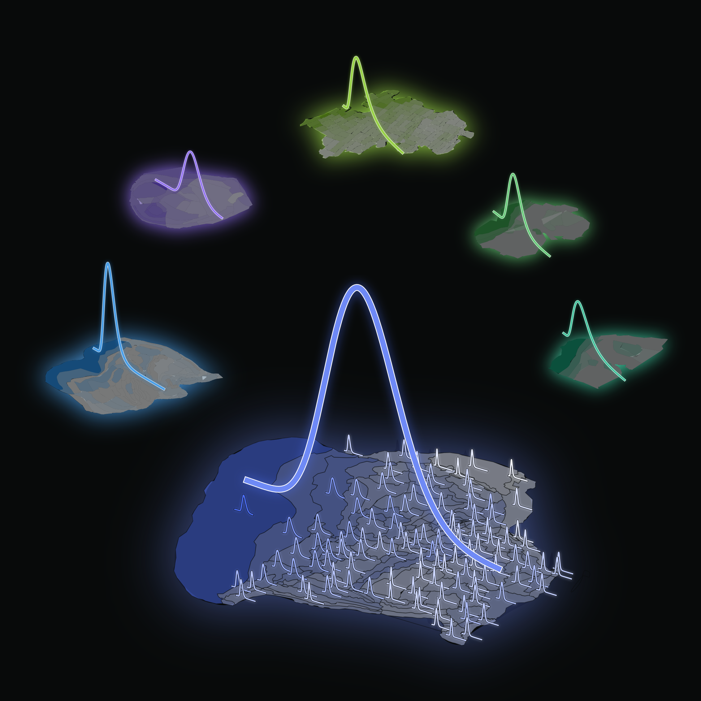 Investigadores de Human Brain Project identifican la ley matemática detrás de la distribución de neuronas en nuestro cerebro