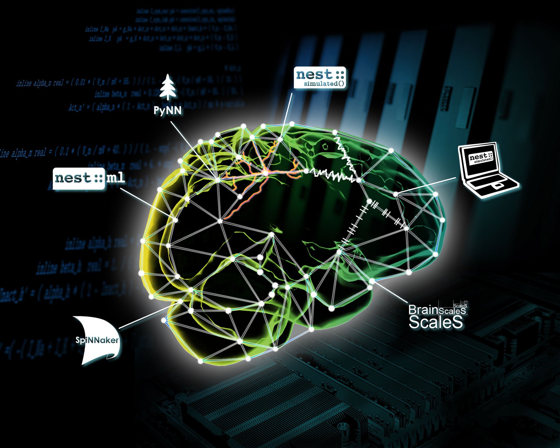 Subcellular model building and calibration tool set - Tools - EBRAINS