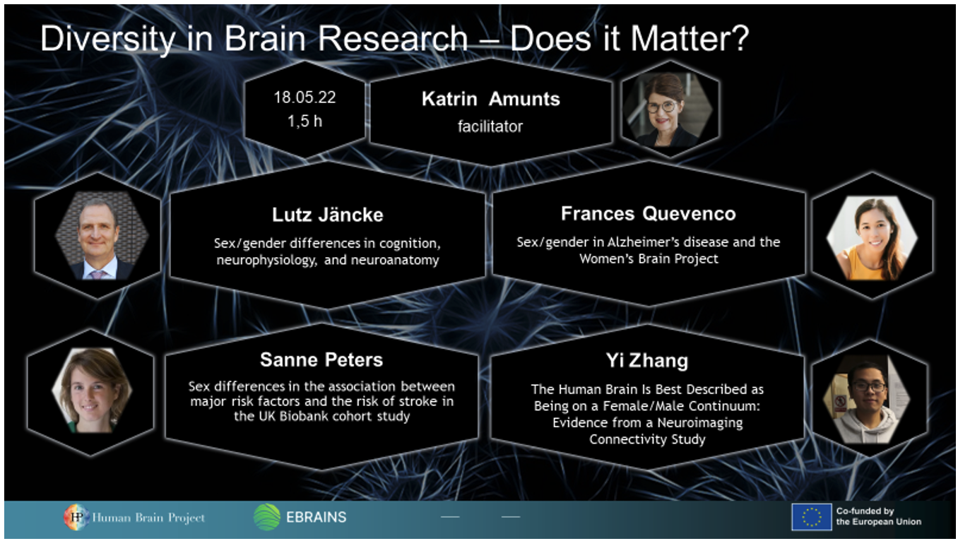 Diversity in brain research Does it matter  Webinar recap 