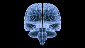 brain2.png