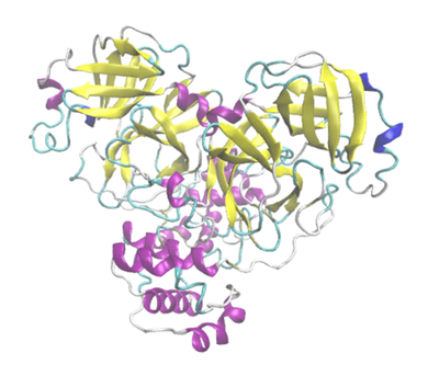 Structure-of-the-SARS-Cov2Main-protease-protein-768x958.png