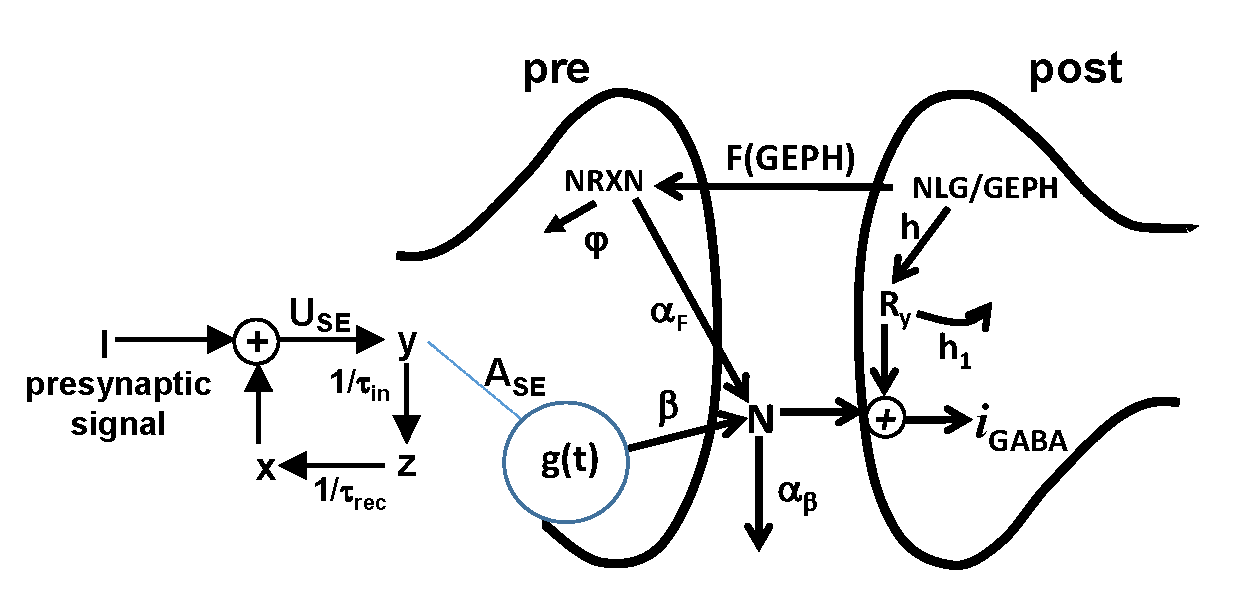 D1.1.1-fig.2.png