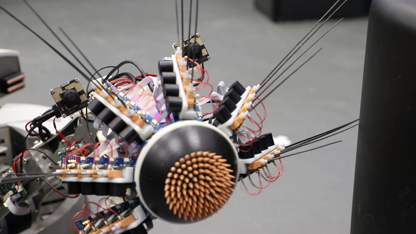 Robot Helps Students With Learning Disabilities Stay Focused - Neuroscience News