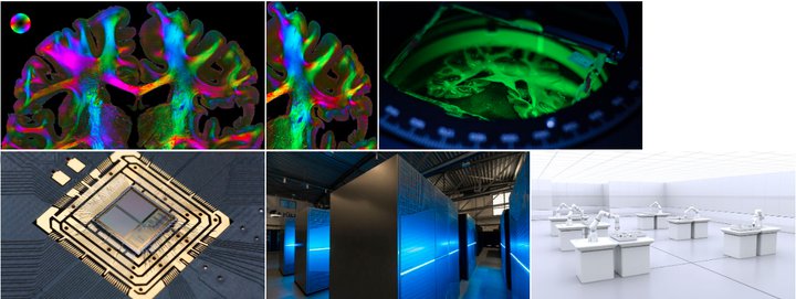 Human Brain Project Exhibition Opens In The German Bundestag