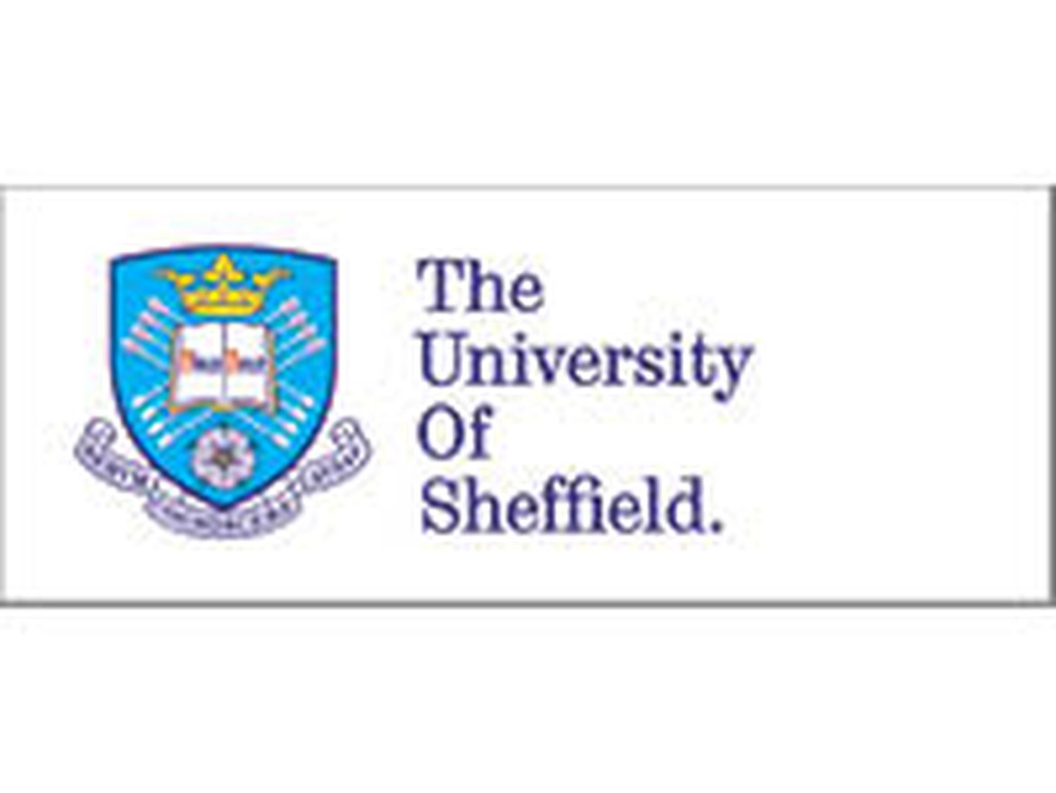 University of Sheffield