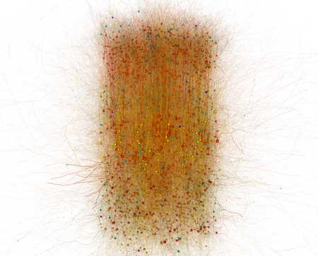 somatosensory cortex mouse