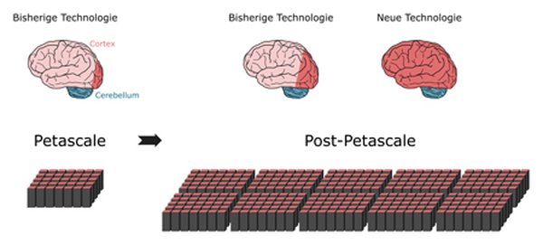 Grand Challenge How Does The Human Brain Work And Produce >> Highlights And Achievements Grand Challenge How Does The Human Brain Work And Produce >> Highlights And Achievements