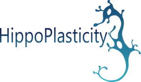 hippoplasticity.png