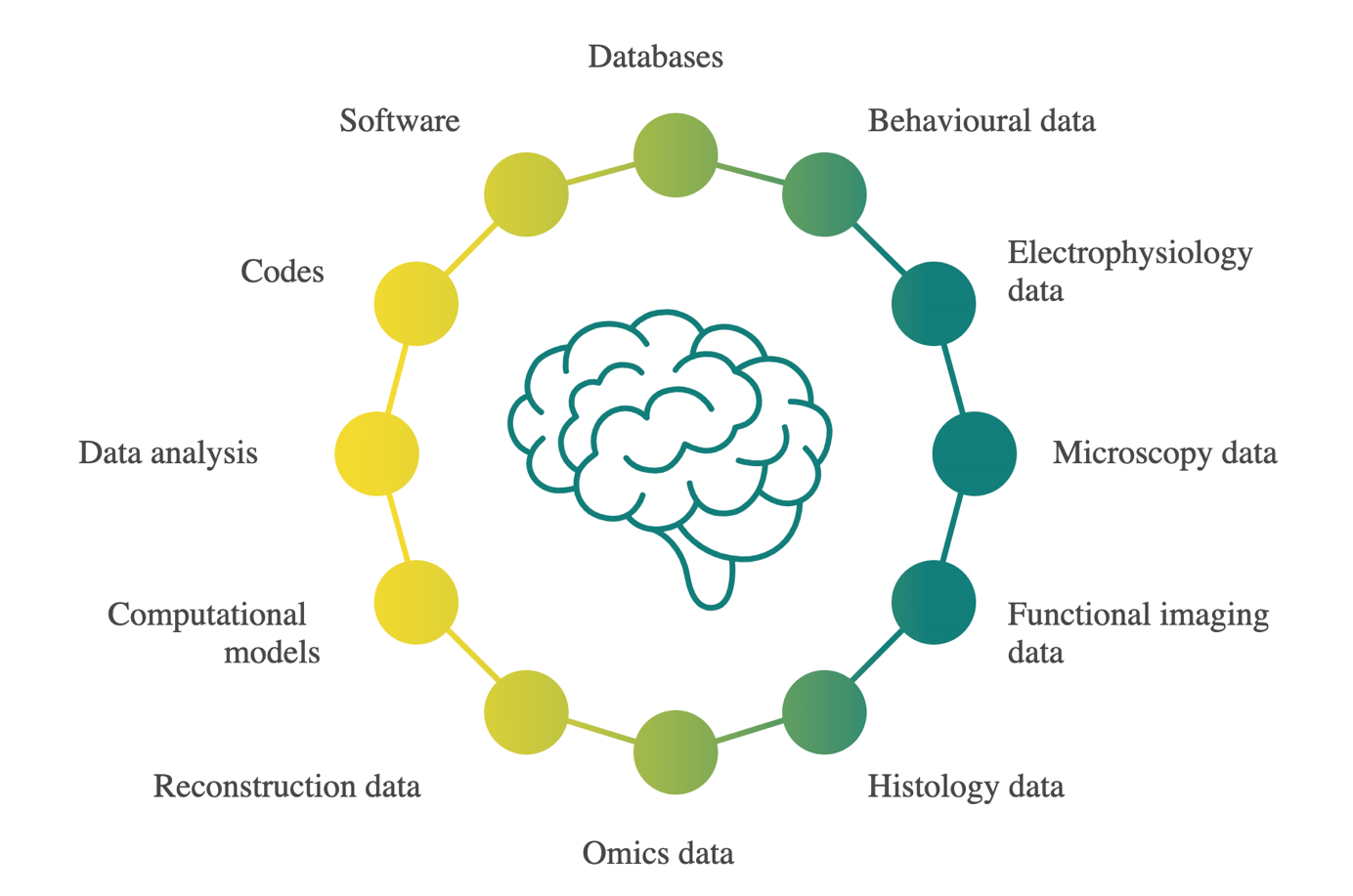 ebrains-cycle.png