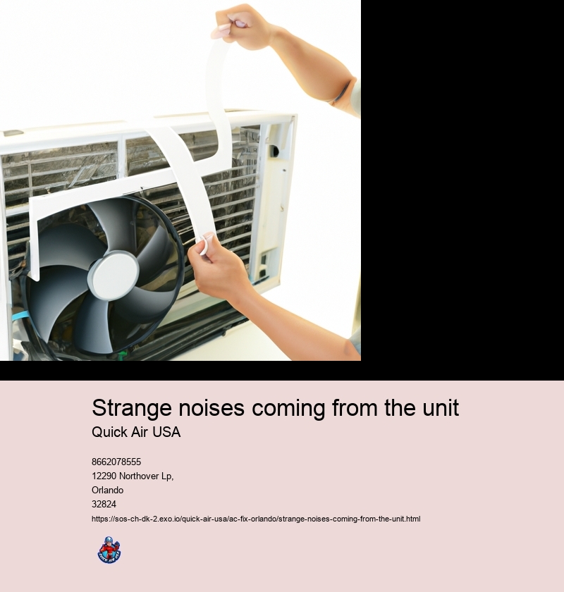 Strange noises coming from the unit