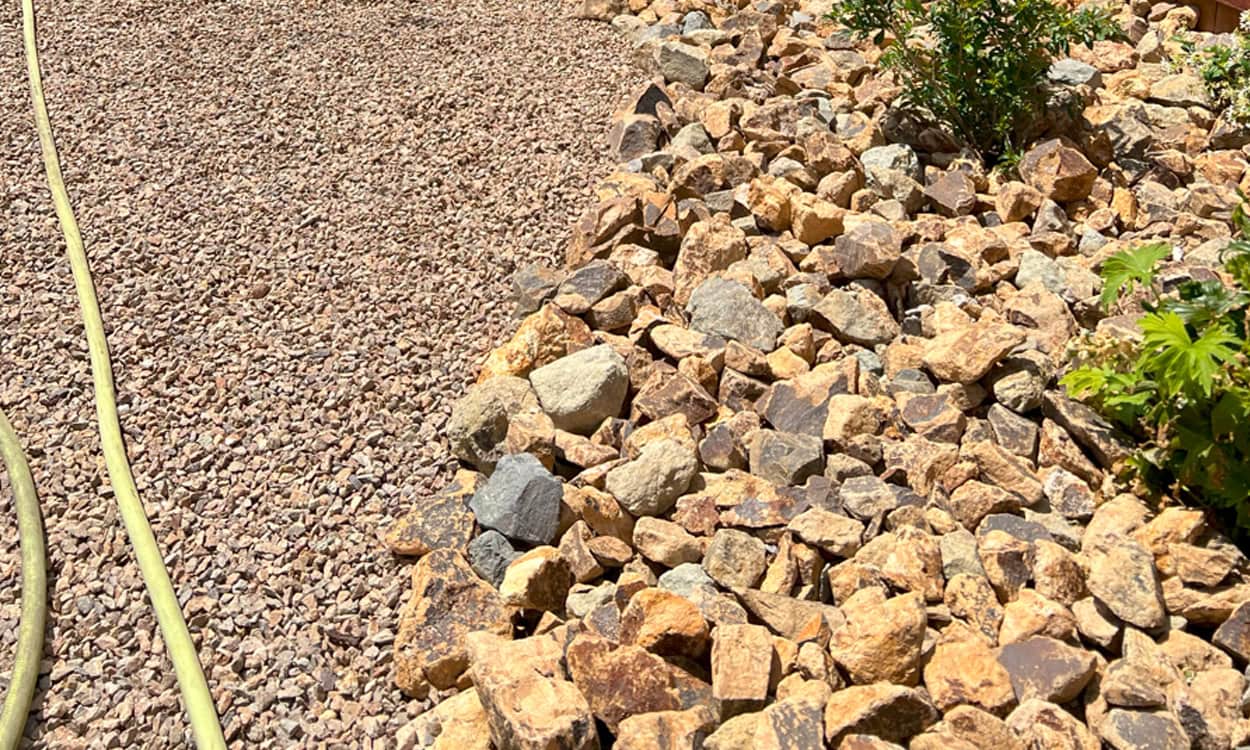 Desert-Savvy Landscape Design Trends Dominating Las Vegas Neighborhoods